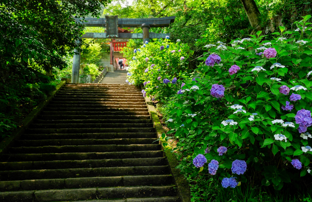 神社仏閣 文化財の保存・修繕